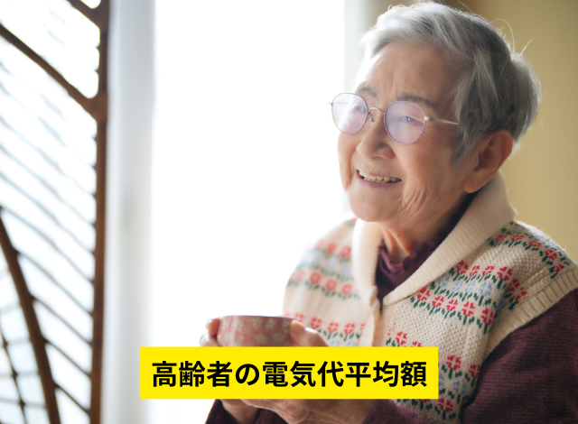 高齢者の電気代平均額